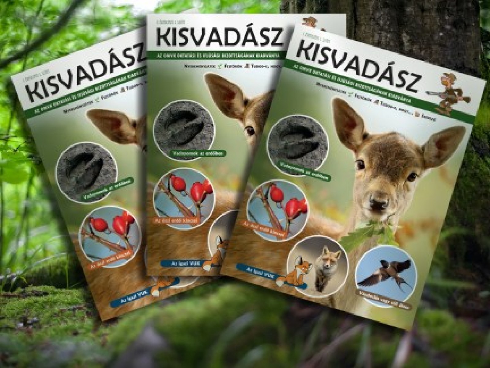 Kisvadász - Ismeretterjesztő foglalkoztatófüzettel népszerűsítik a vadászatot a fiatalok körben