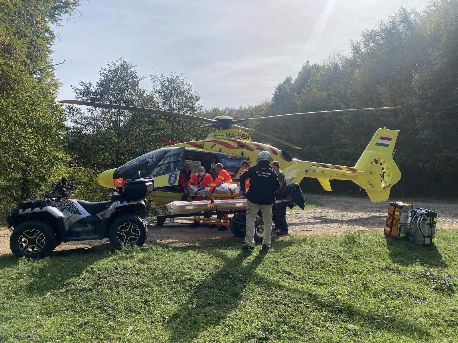 Lódarázs támadta meg a túrázókat, fakitermelő segítette a mentőhelikoptert a keresésben