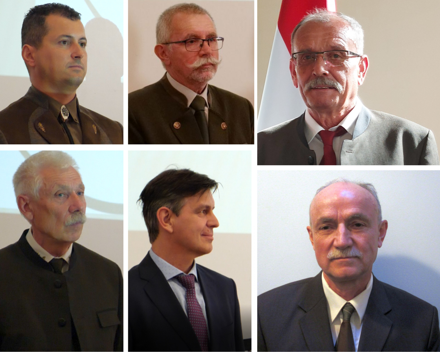 Erdőmérnököket, erdészeket tüntettek ki a magánerdősök