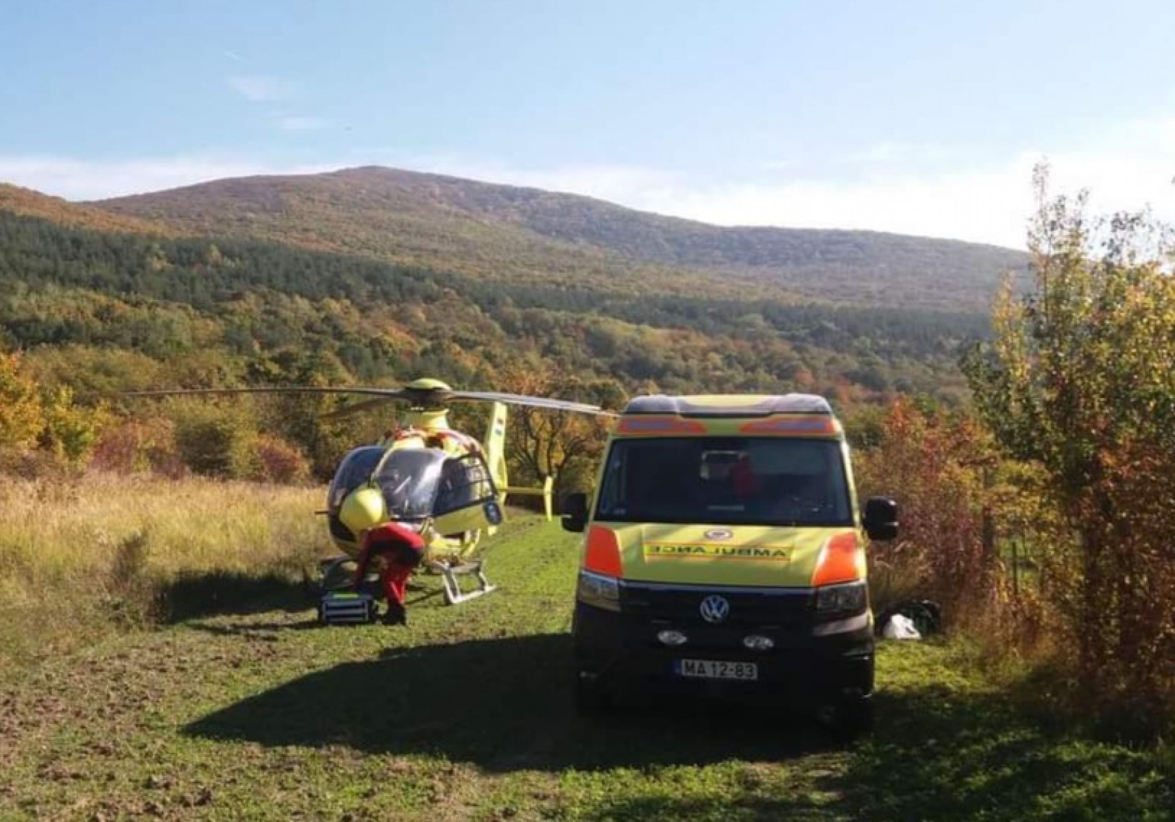 Helikopterrel és az erdész segítségével mentették meg a bajba jutott fakitermelőt