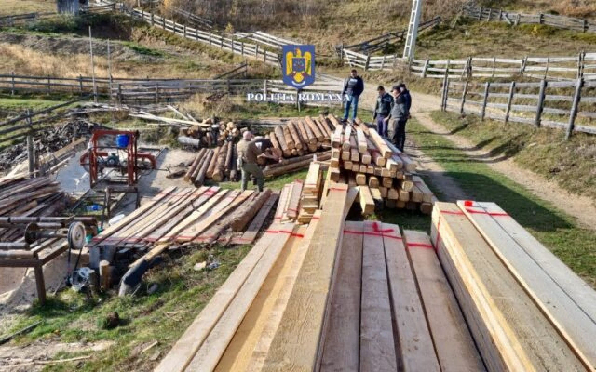 Őrizetbe vették, miután évekig lopta az erdész a fát Kolozs megyében