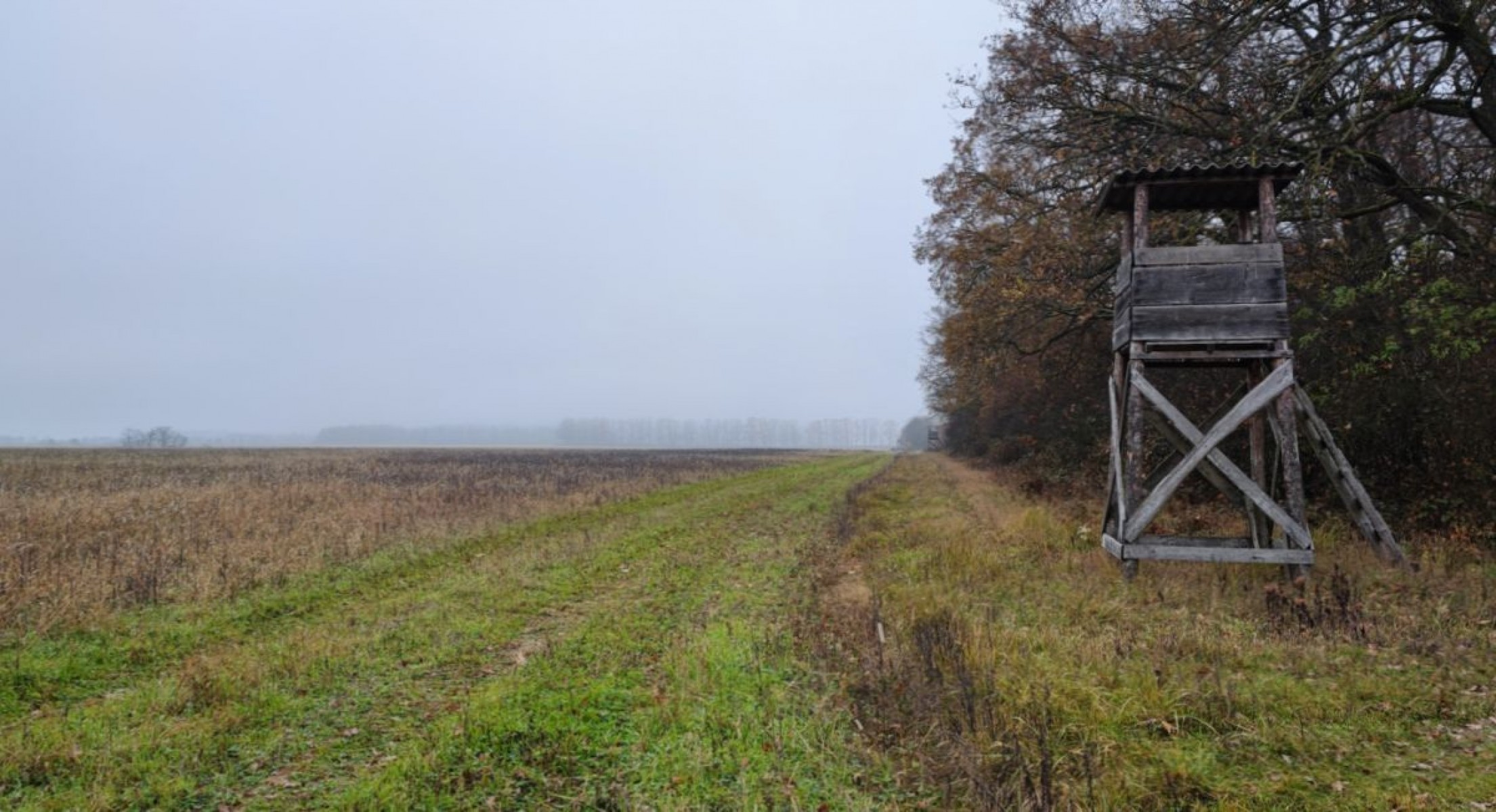 Szombathelyi Erdészet: biztosított a vadállomány téli etetése