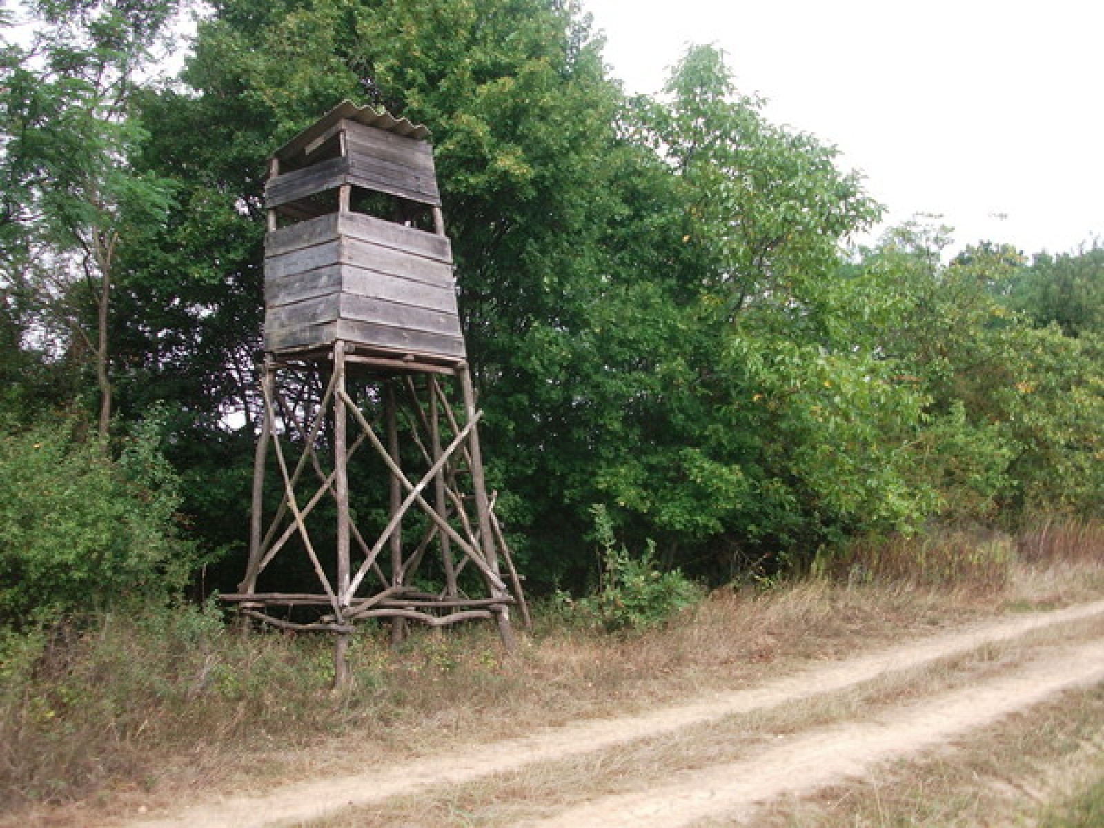 Vadászat közben lőttek meg két fiatalt Fejér megyében