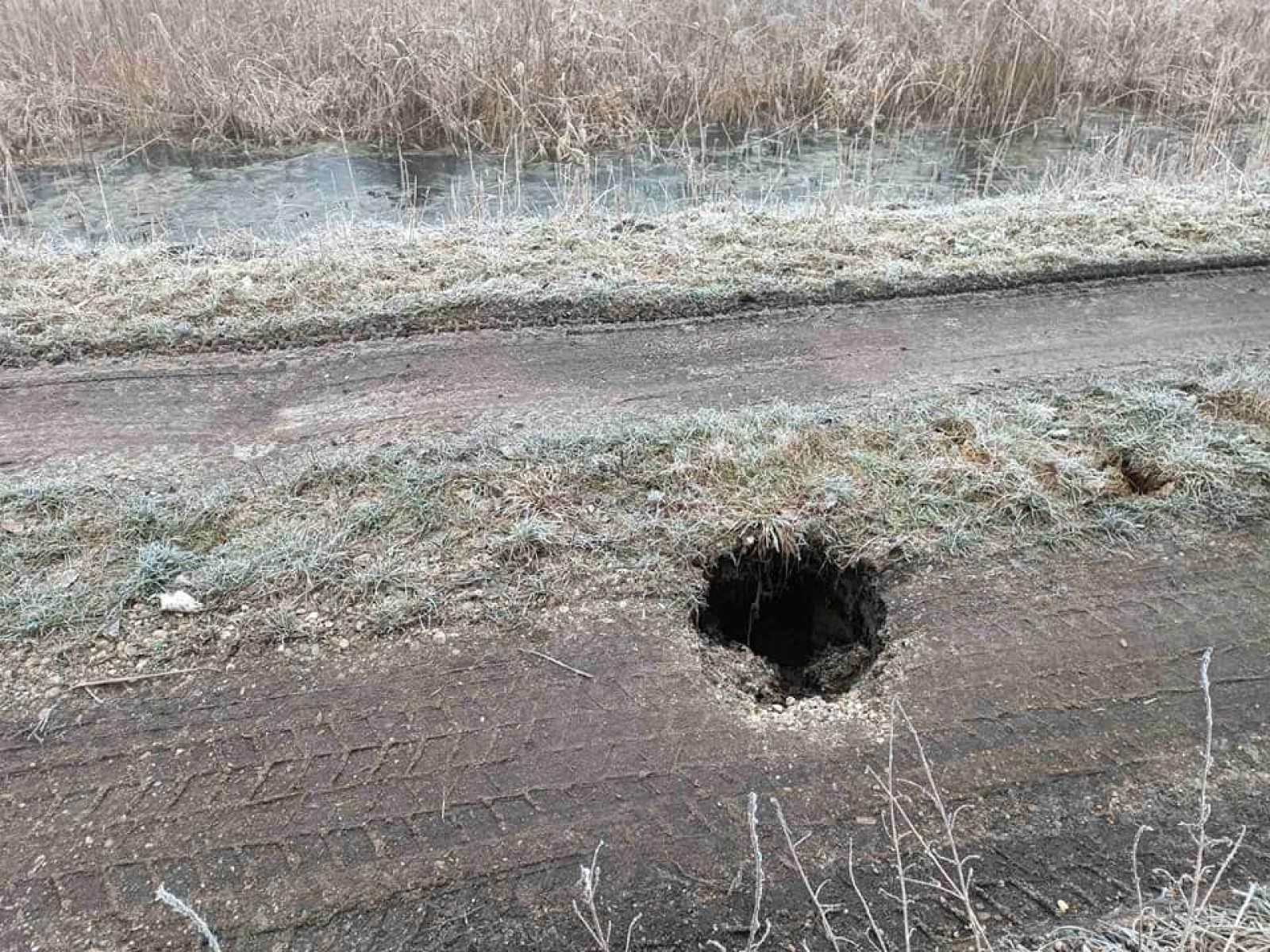 Beszakadt hódjárat miatt vált balesetveszélyessé az erdészeti út (KÉPEK)