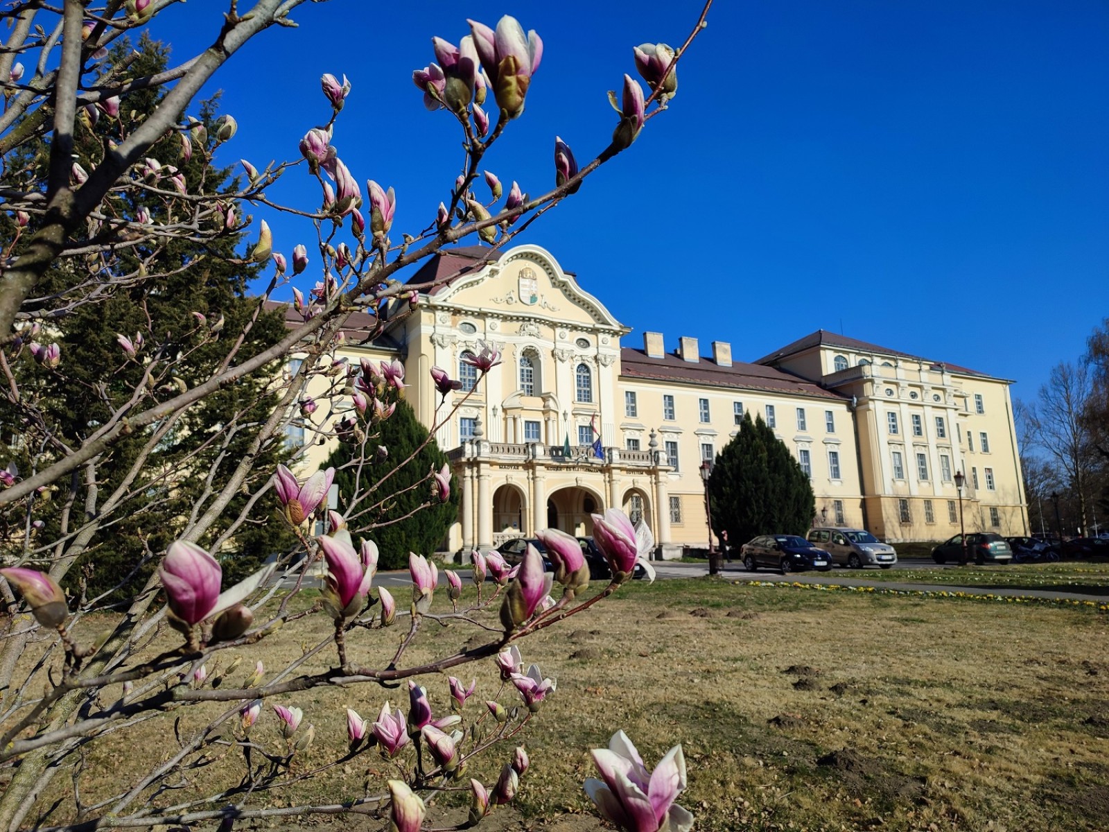 MATE: cél, a régió első számú agráregyetemévé válni