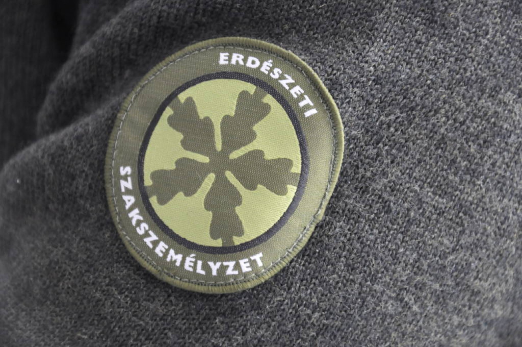 Meghirdették az erdészeti szakszemélyzet őszi jogosulti alapképzését
