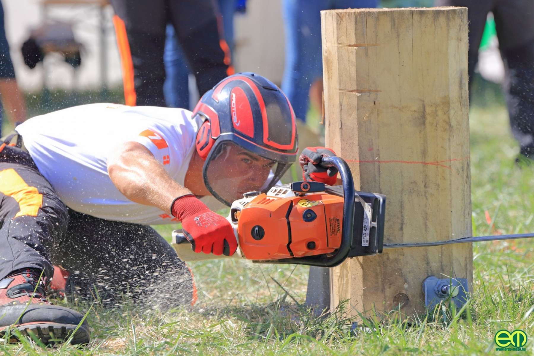 Orfűn rendezik meg a STIHL fakitermelő verseny második fordulóját