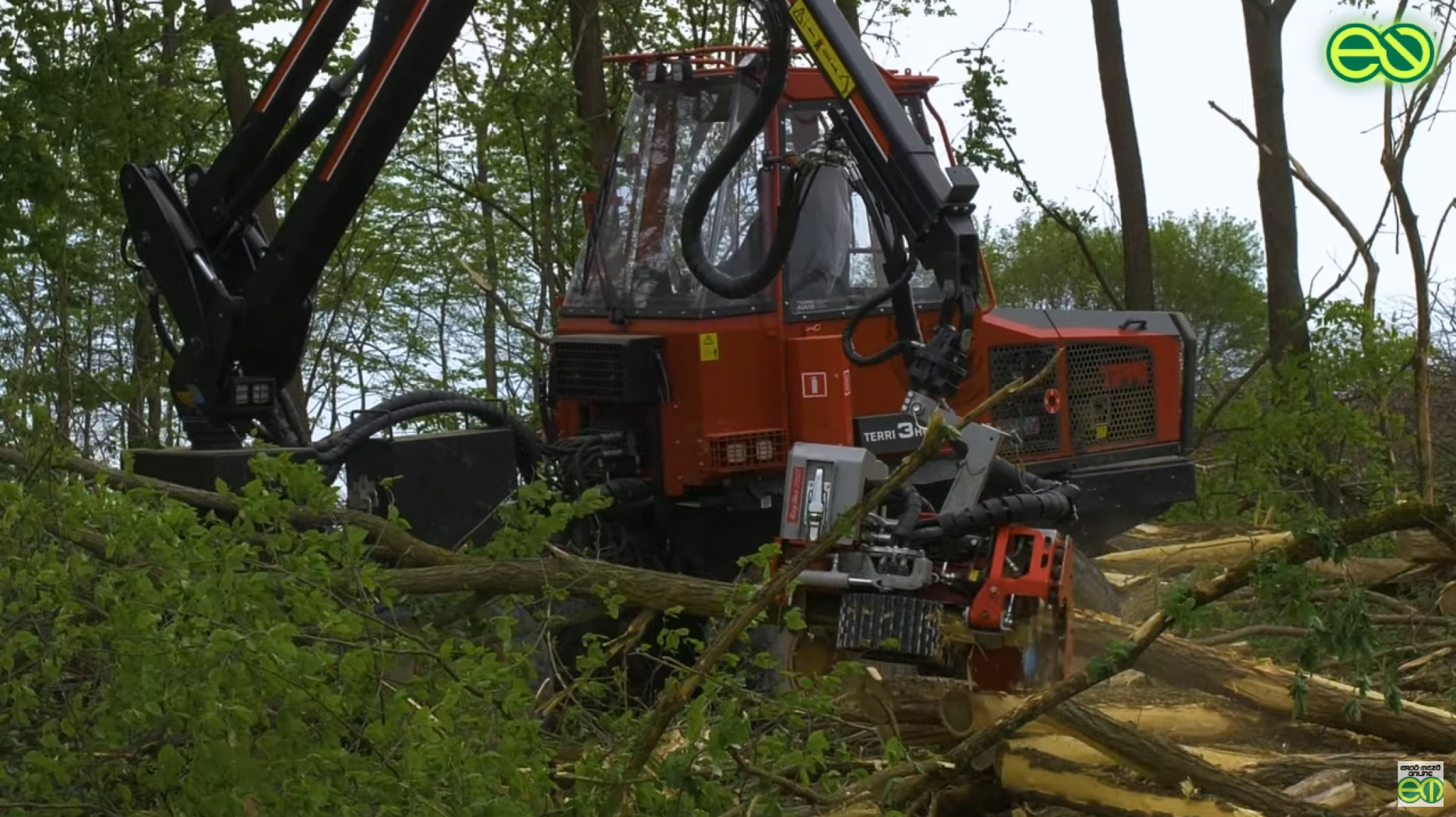 Sűrű, akácos gyérítésben bizonyított a TERRI harvester (VIDEÓ)