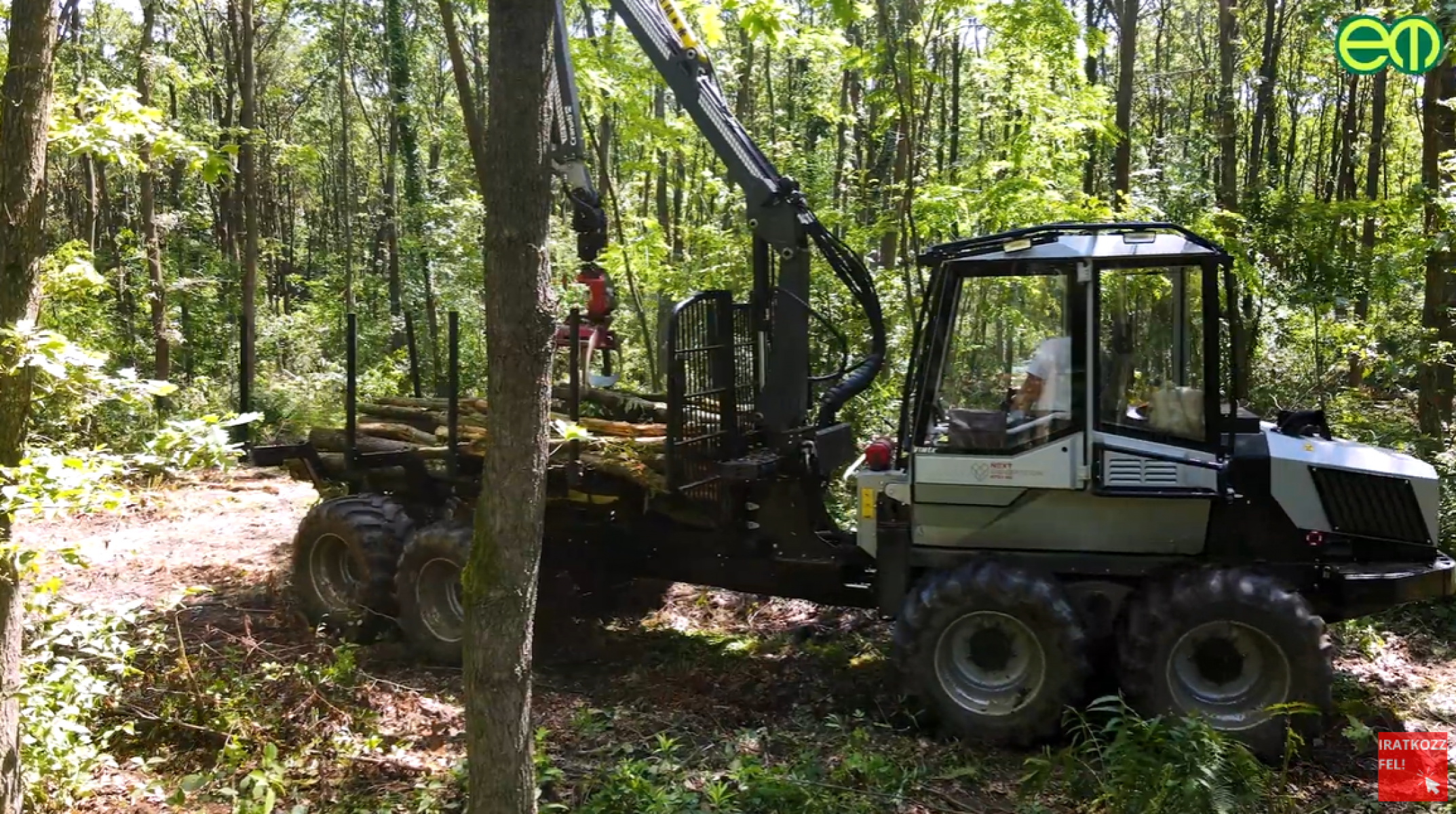 Gyérítésre tervezve - Hatékony harvester-forwarder kombináció Zala erdeiben