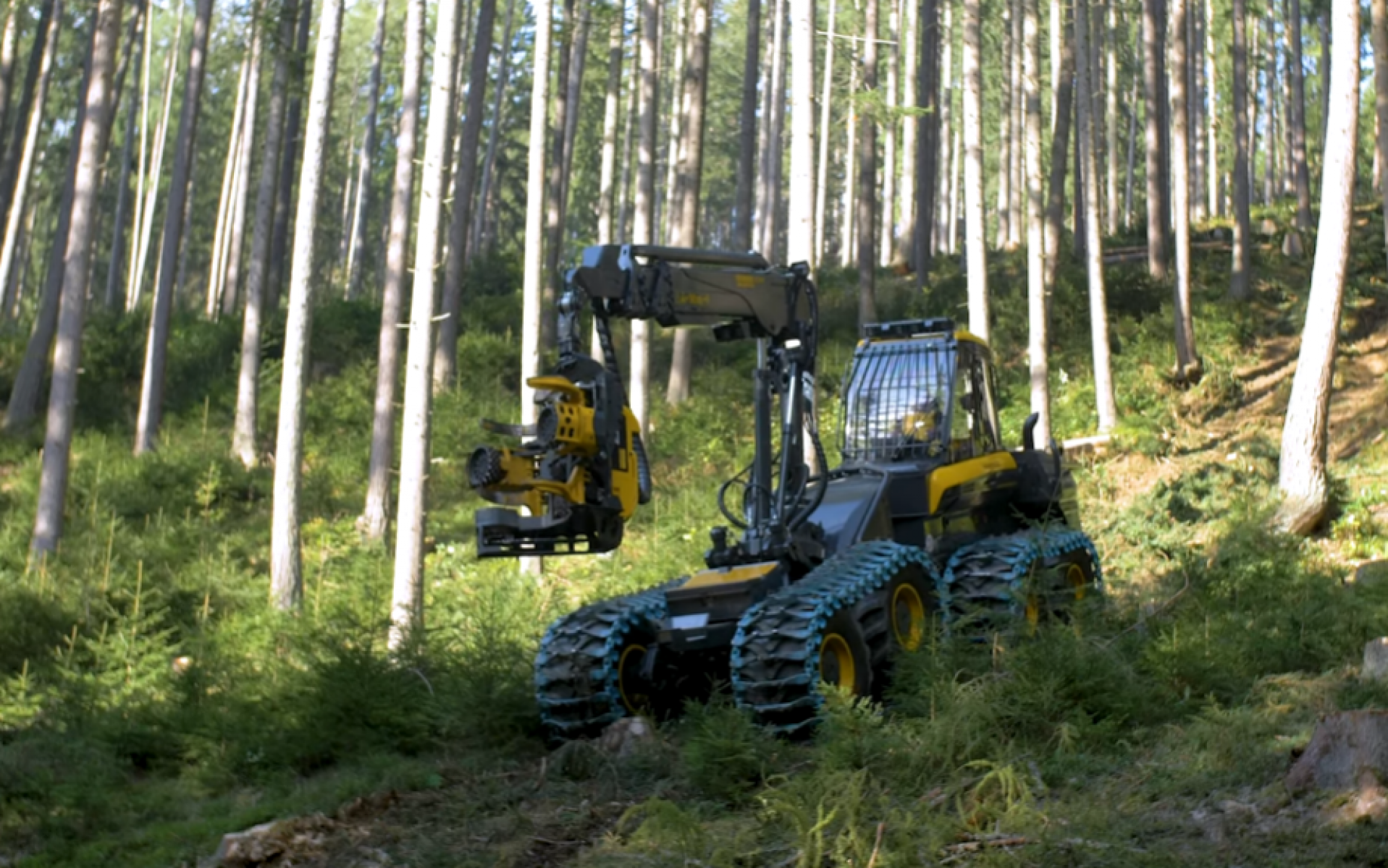 VIDEÓ - Új Ponsse harvester és csörlős rendszer, Westtech, Jenz és Sampo érdekességek