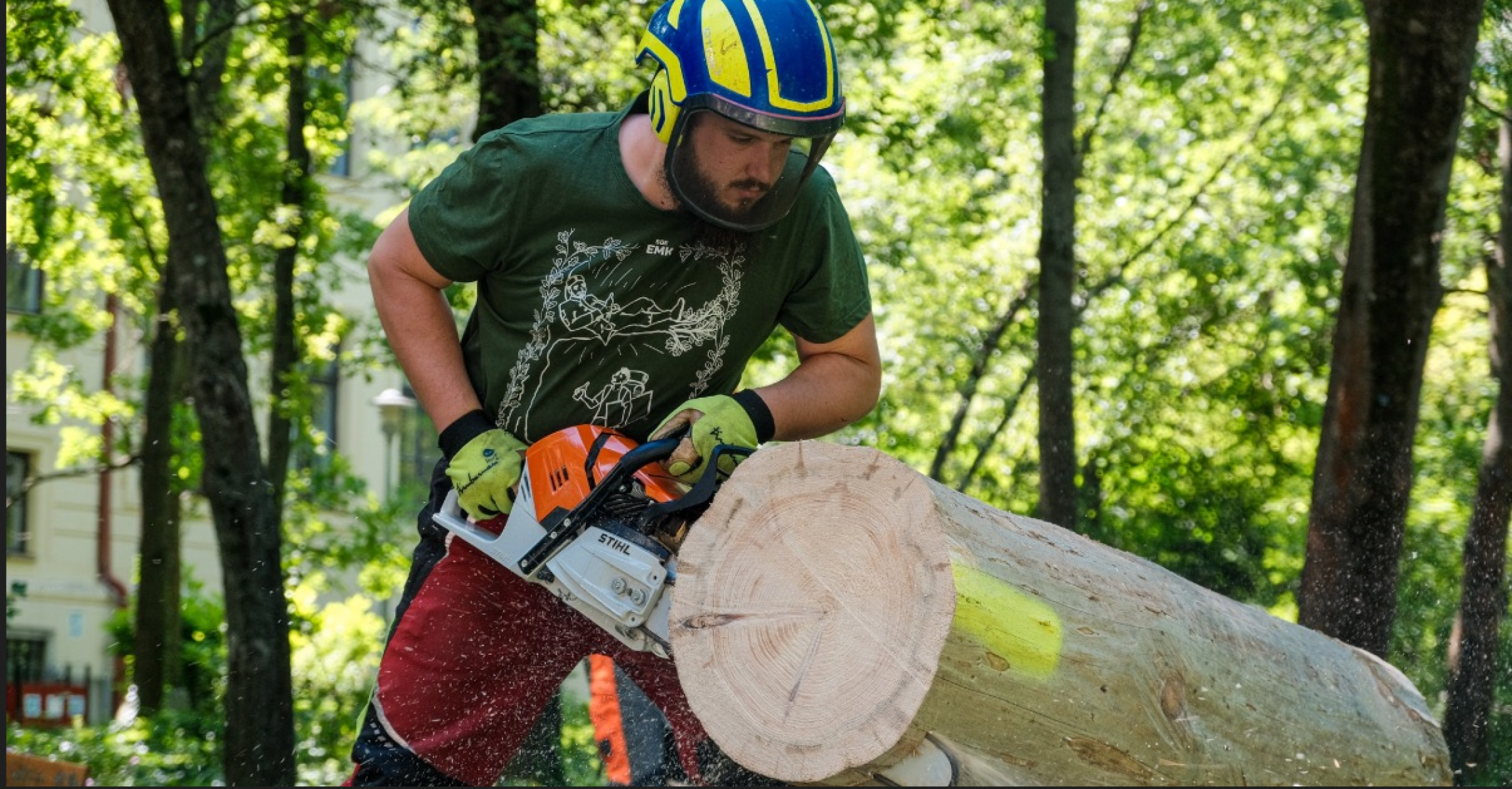 A jövő erdészeti szakembereit segíti a STIHL és a Soproni Egyetem partnersége