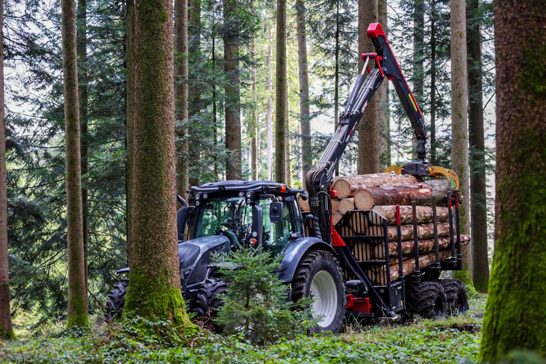 A HORSCH belép az erdészeti technológia világába
