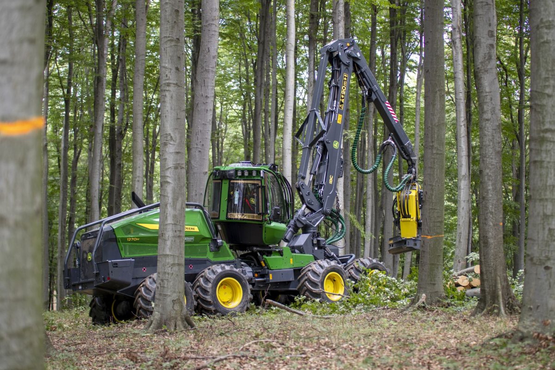 VIDEÓ: A John Deere legnagyobb harvestere először a magyar erdőkben