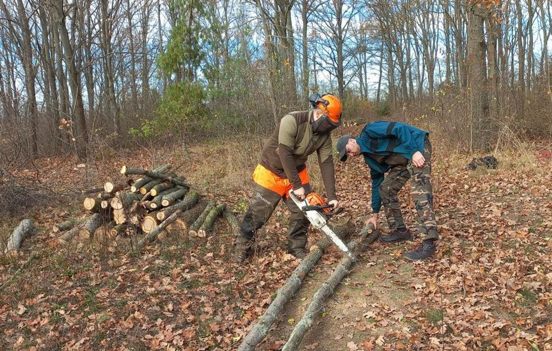 A kecskeméti arborétumban gyakorlatoztak az erdész diákok