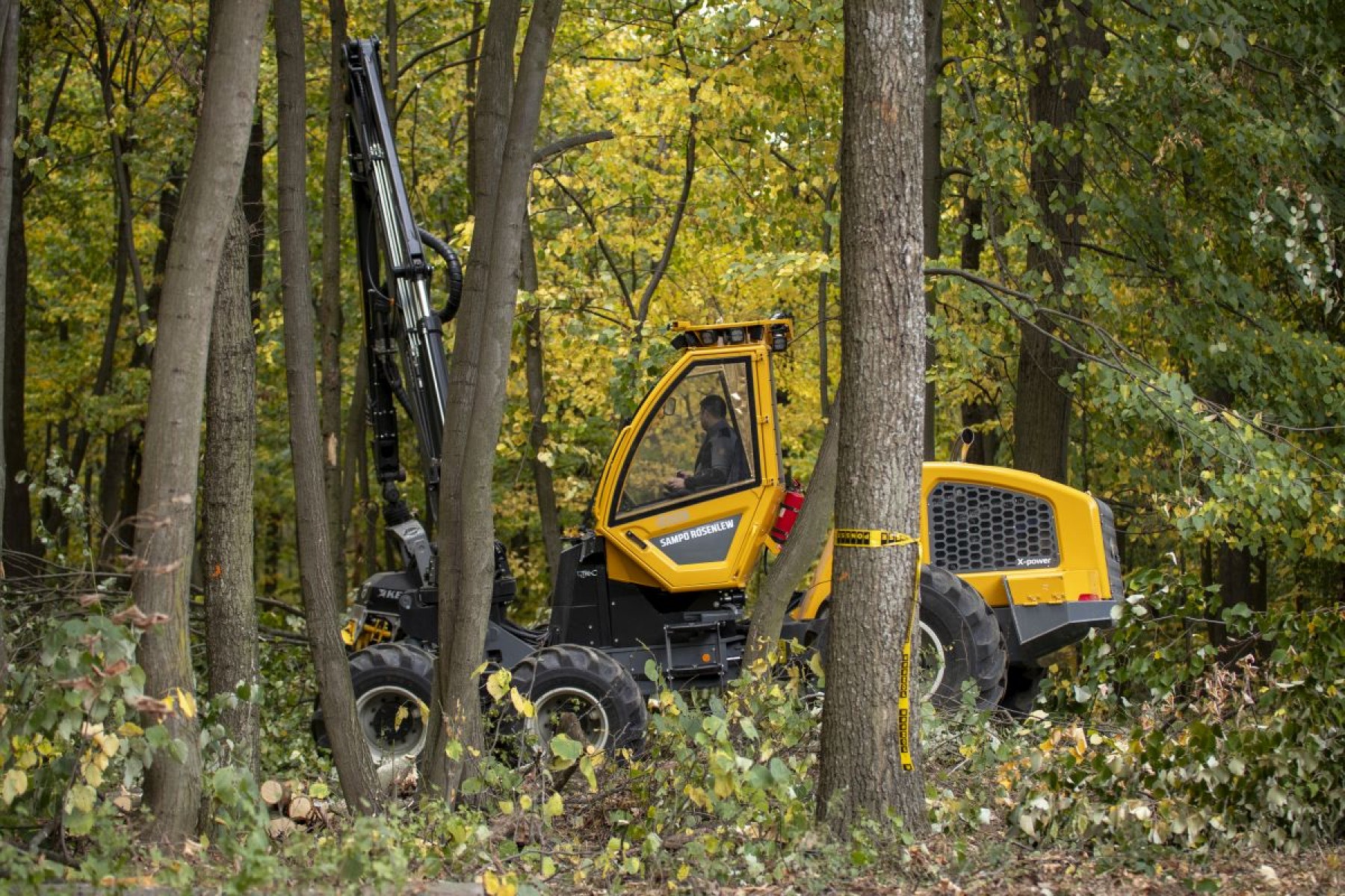 Megjelent! Kiírták az erdészeti géptámogatás pályázatát