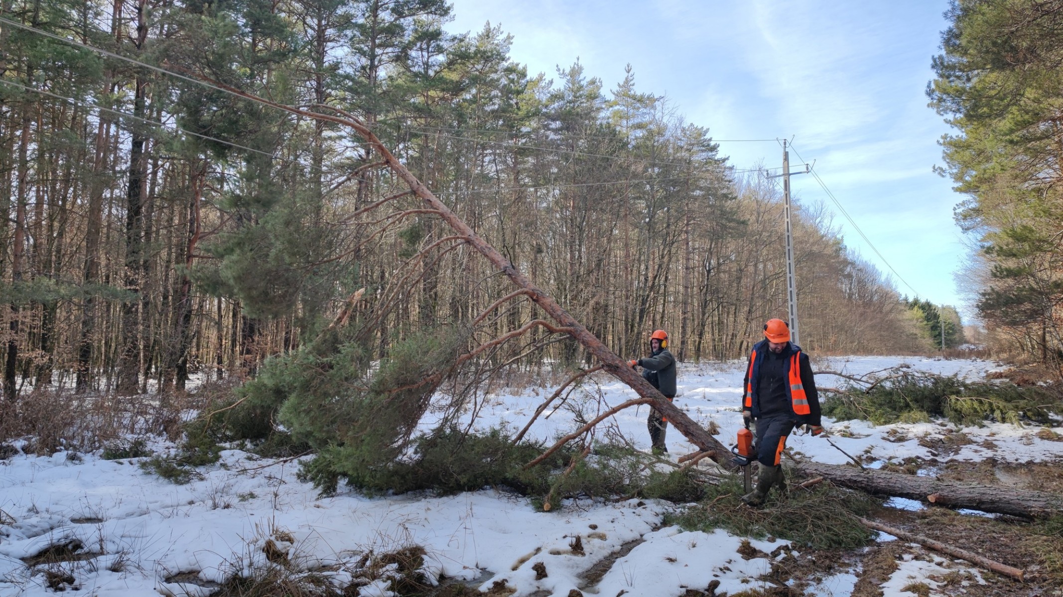 Erdészek is segítik az áramszolgáltatás helyreállítását