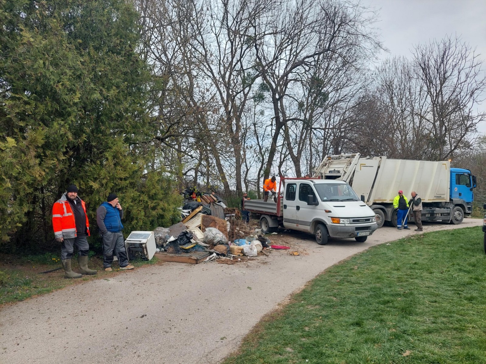 Erdészek tisztították meg az erdőt