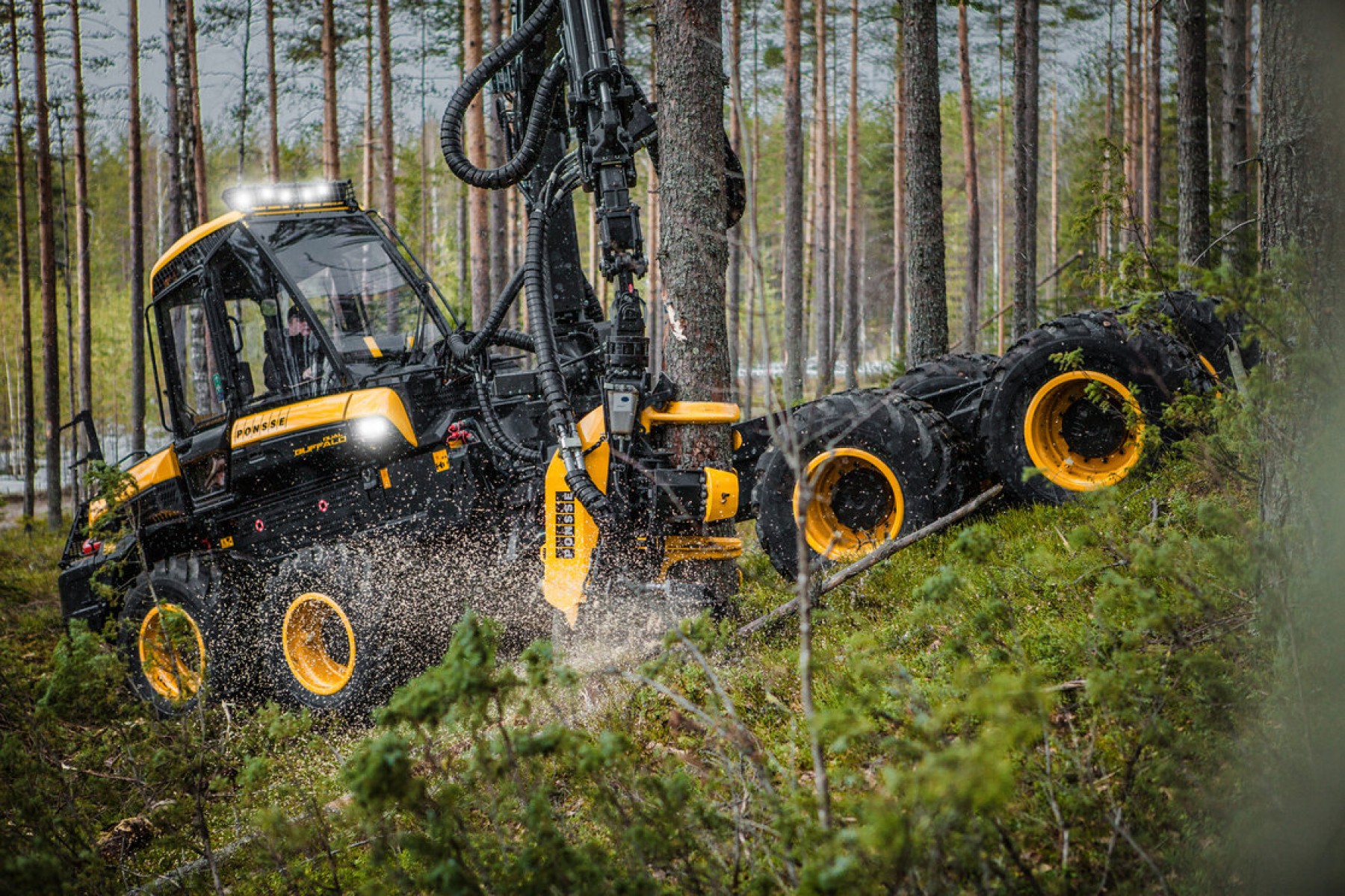 Forwarder és harvester beszerzésére írt ki pályázatot a Zalaerdő