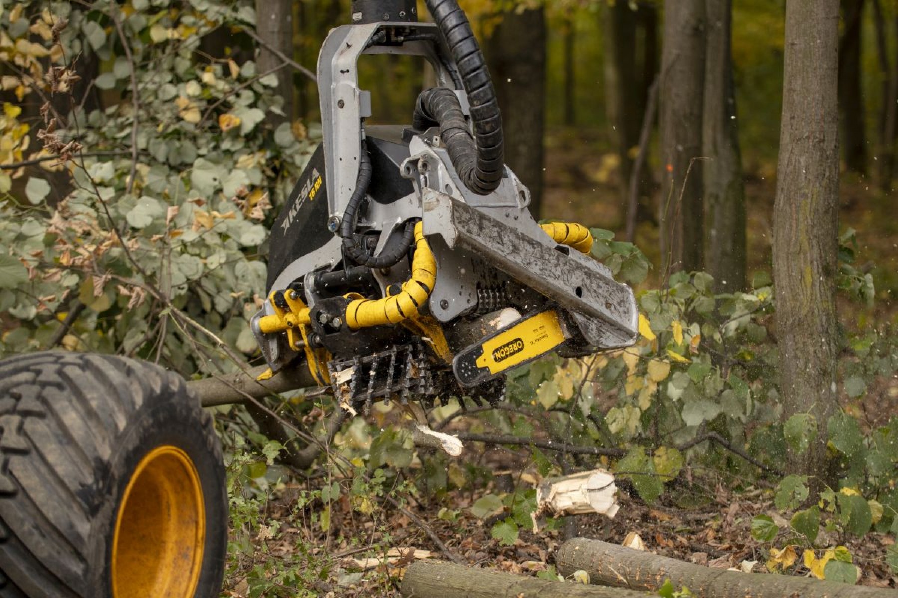 Erdőgazdálkodási beruházások támogatása - módosult a pályázat
