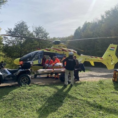 Lódarázs támadta meg a túrázókat, fakitermelő segítette a mentőhelikoptert a keresésben