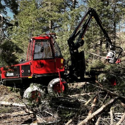 Magyarországon is bemutatkoznak a TERRI gyérítési erdészeti gépek