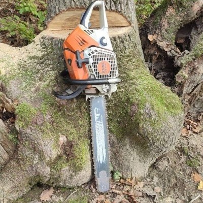 STIHL fotó Pétervári Attilától