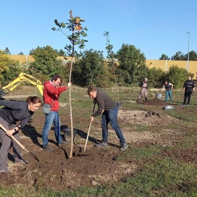 Tizenhét település fásításában vesz részt a Pilisi Parkerdő Zrt.