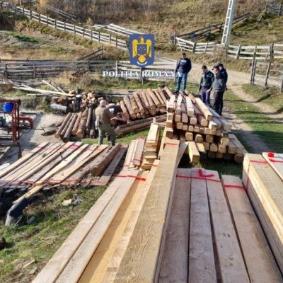 Őrizetbe vették, miután évekig lopta az erdész a fát Kolozs megyében