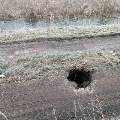 Beszakadt hódjárat miatt vált balesetveszélyessé az erdészeti út (KÉPEK)