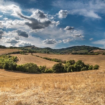 Módosítások a Natura 2000 erdőterületeknek nyújtott kompenzációs támogatás pályázati felhívásában
