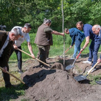 Hogyan kapcsolódik az erdészet az atlétikai világbajnoksághoz?