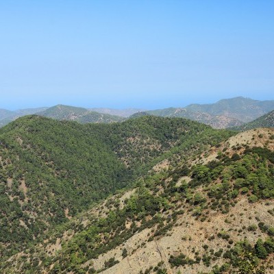 Milyen sors vár a Mediterráneum erdeire?