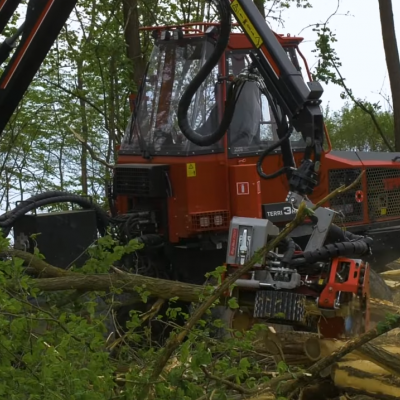 Sűrű, akácos gyérítésben bizonyított a TERRI harvester (VIDEÓ)