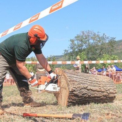 Hagyományos helyszínen folytatódik a STIHL Országos Fakitermelő Bajnokság