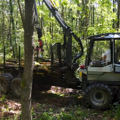 Gyérítésre tervezve - Hatékony harvester-forwarder kombináció Zala erdeiben