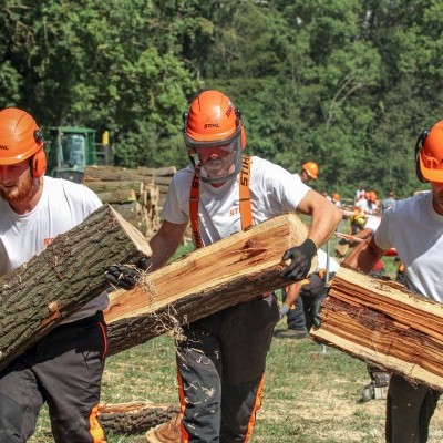 Mecsekerdő diadal a fakitermelők országos versenyén