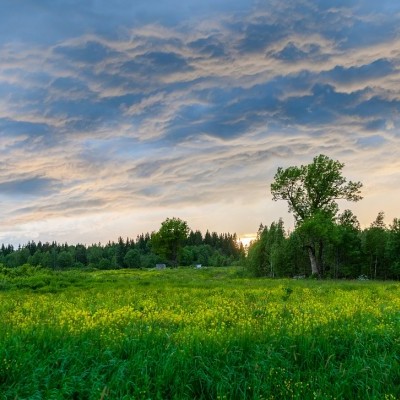 Komoly megfontolás előtt a pályázók: erdőtelepítés Natura 2000 gyepterületen