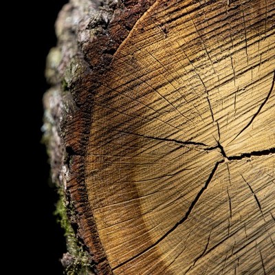 Megszűnik az NFK, jogutódja az Agrárminisztérium lesz