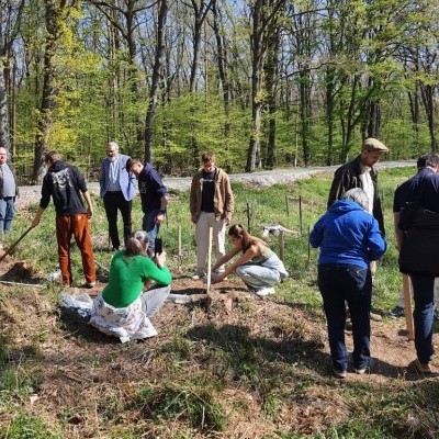 Diákok őrzik a hagyományt a Széchenyi tölgyfa-ligetben