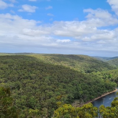 Nem nyeli el többé a szenet az esőerdő Ausztráliában