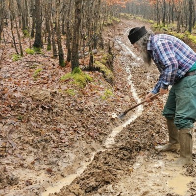 Kétéltűvédelem vízmegtartással a Börzsönyben