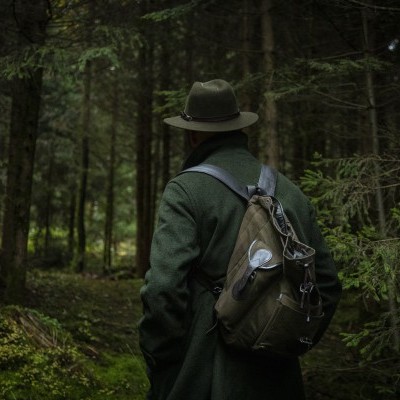 Nébih: megújult az EDU felületén az ASP járványügyi képzés a vadászok számára