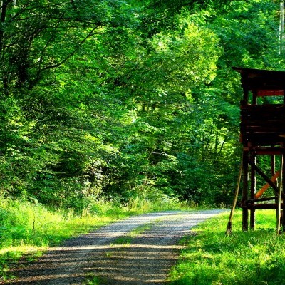 Május végén rendezik meg a Somogy Vármegyei Vadásznapot